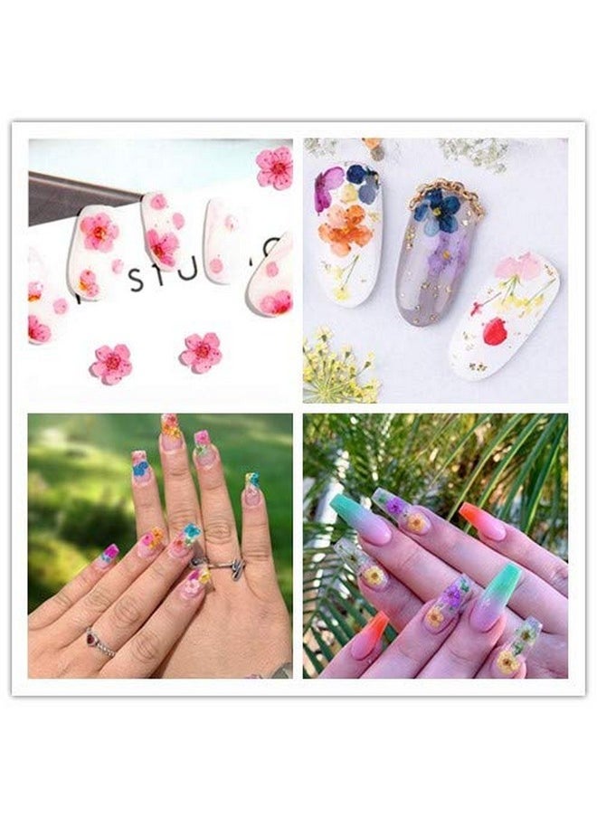 Rosponse Valuu 3D Nail Dried Flowers Sticker，60 Five Petal Flower 12 Colors Natural Real Dry Flower Nail Stickers （60 Flowers）  - Image 3
