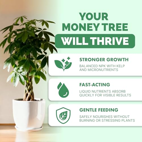 TPS NUTRIENTS Money Tree Fertilizer – Liquid Plant Food for Lush Foliage, Healthy New Growth & Stronger Roots, 8 oz - Image 2