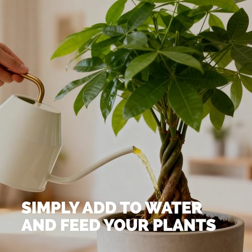 TPS NUTRIENTS Money Tree Fertilizer – Liquid Plant Food for Lush Foliage, Healthy New Growth & Stronger Roots, 8 oz - Image 5