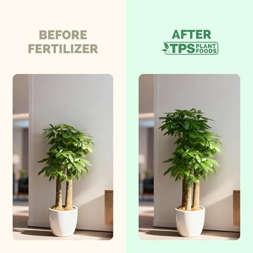 TPS NUTRIENTS Money Tree Fertilizer – Liquid Plant Food for Lush Foliage, Healthy New Growth & Stronger Roots, 8 oz - Image 3