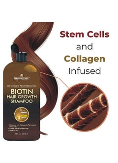 First Botany Hair Regrowth and Anti Hair Loss Shampoo 16 fl oz, with DHT blockers, Collagen & Stem Cells- Daily Hydrating, Detoxifying, Volumizing Shampoo For Men and Women  - Image 2