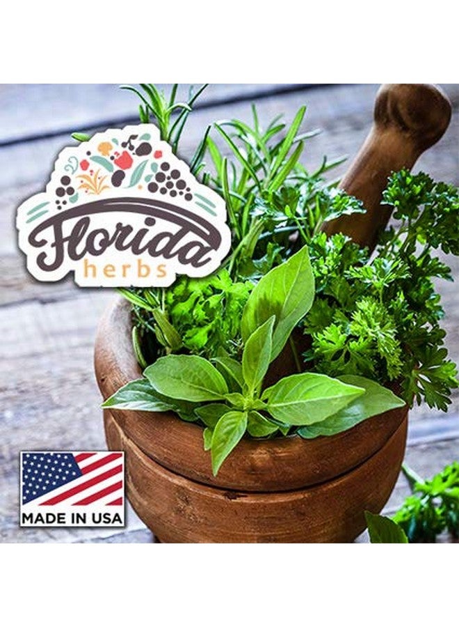 FLORIDA HERBS صبغة الأستراجالوس مستخلص الأستراجالوس العضوي (أستراجالوس ميمبراناسيوس) مكمل عشبي غير معدل وراثيًا في جليسرين نباتي عضوي مضغوط بارد 700 ملغ 2 أونصة (60 مل) - Image 4