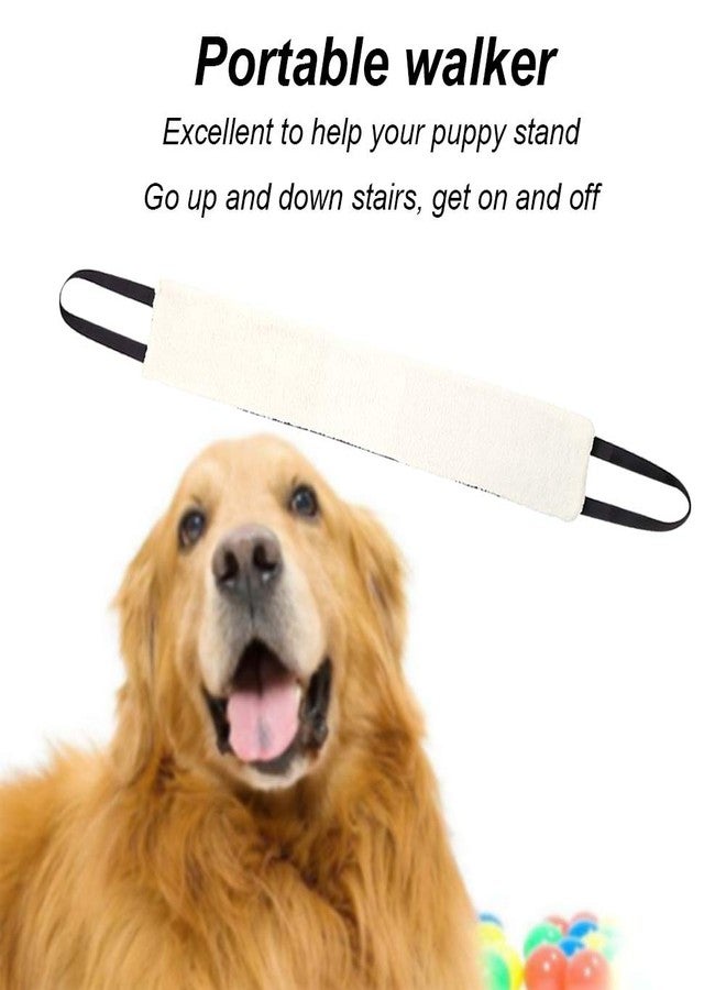 CALIDAKA Portable Dog Sling for Back Legs, Rehabilitation Sling Harness, Dog Lift, Walking Pet Support Assist Tool, Hip Support Harness to Help Lift Dogs Rear for Canine Aid - Image 2