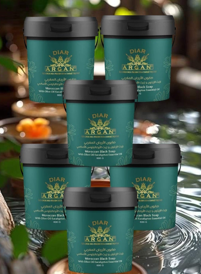 Diar Argan 6 Pieces Moroccan Argan Soap with Olive Oil and Eucalyptus Oil 600grams - Image 1