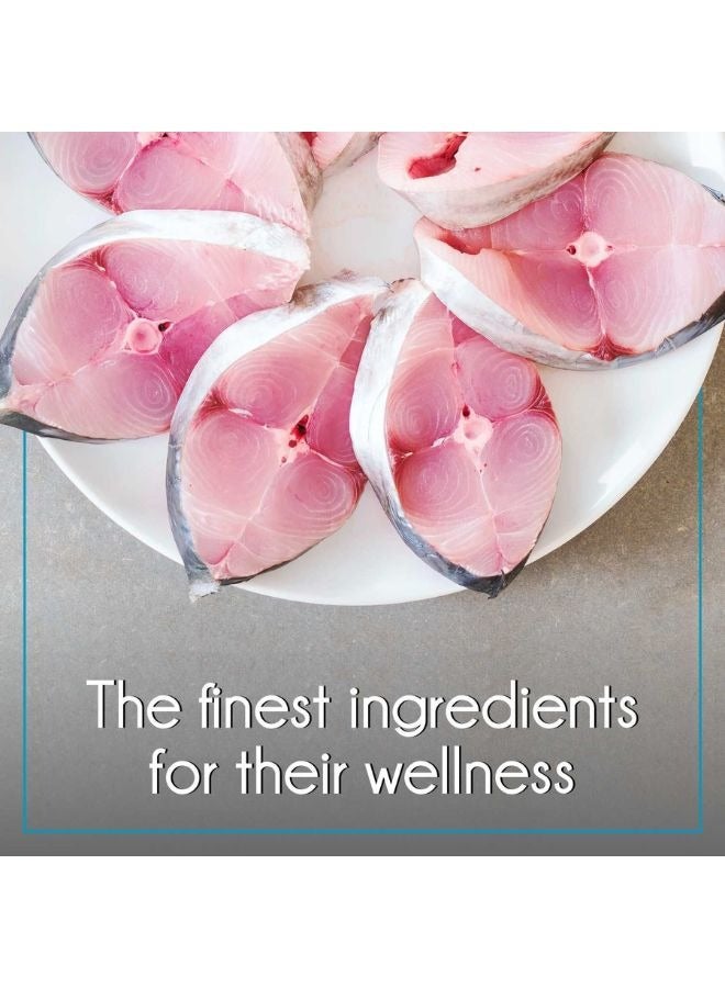 PUREPET طعام جاف للقطط - سمك المحيط - Image 4