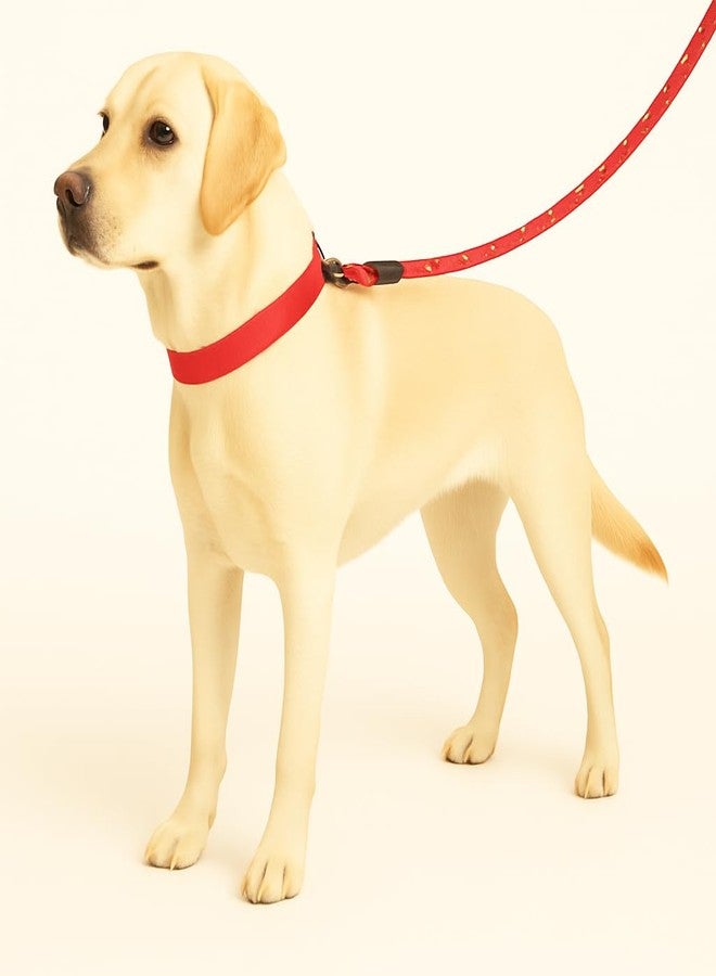 Zigly Lifestyle Reflective Rope Dog Leash - M (15mm) - Red | Durable Training Rope Leash for Medium Dogs| Lightweight, Comfortable Grip Strong Leash for Daily Walks - Image 5