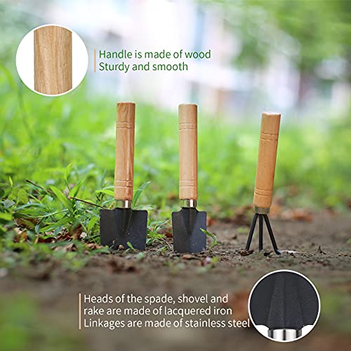 Songtaste 5Pcs Succulent Tools,Mini Garden Tools,Pruning Scissors as Plant Accessories, Gardending Hand Tools Kit for Seedling Soil,Caring Succulent,Houseplent,Bonsi,Gifts for Woman and Man - Image 4