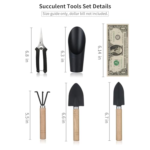 Songtaste 5Pcs Succulent Tools,Mini Garden Tools,Pruning Scissors as Plant Accessories, Gardending Hand Tools Kit for Seedling Soil,Caring Succulent,Houseplent,Bonsi,Gifts for Woman and Man - Image 2