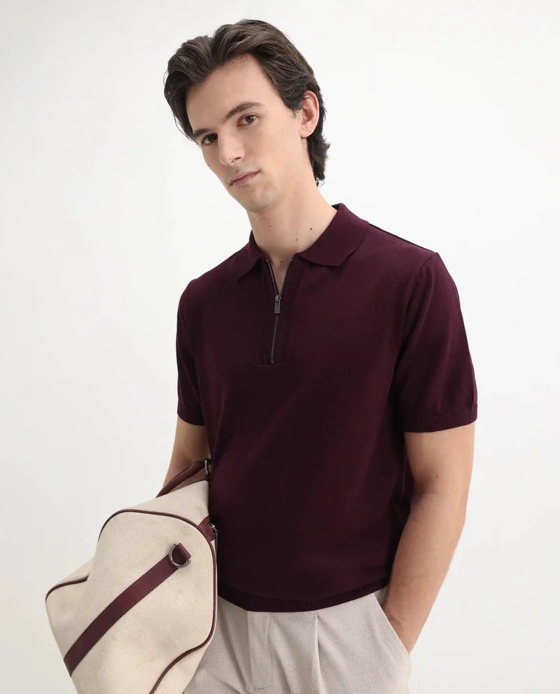 Rare Rabbit Men's Flat Knit Regular Fit Polo