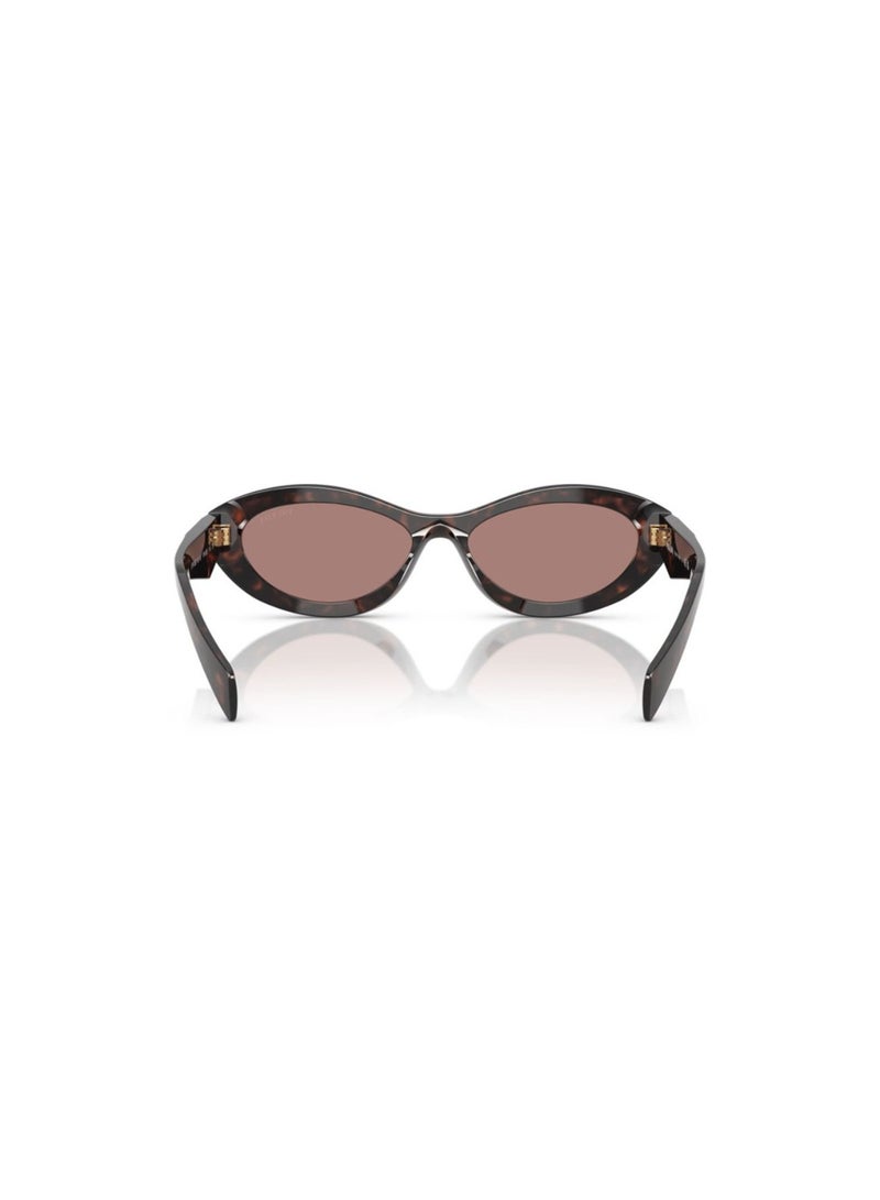 Prada Women Irregular Knight Sunglasses- Pr 26Zs - Lense Size:55Mm - Root Tortoise - Image 3