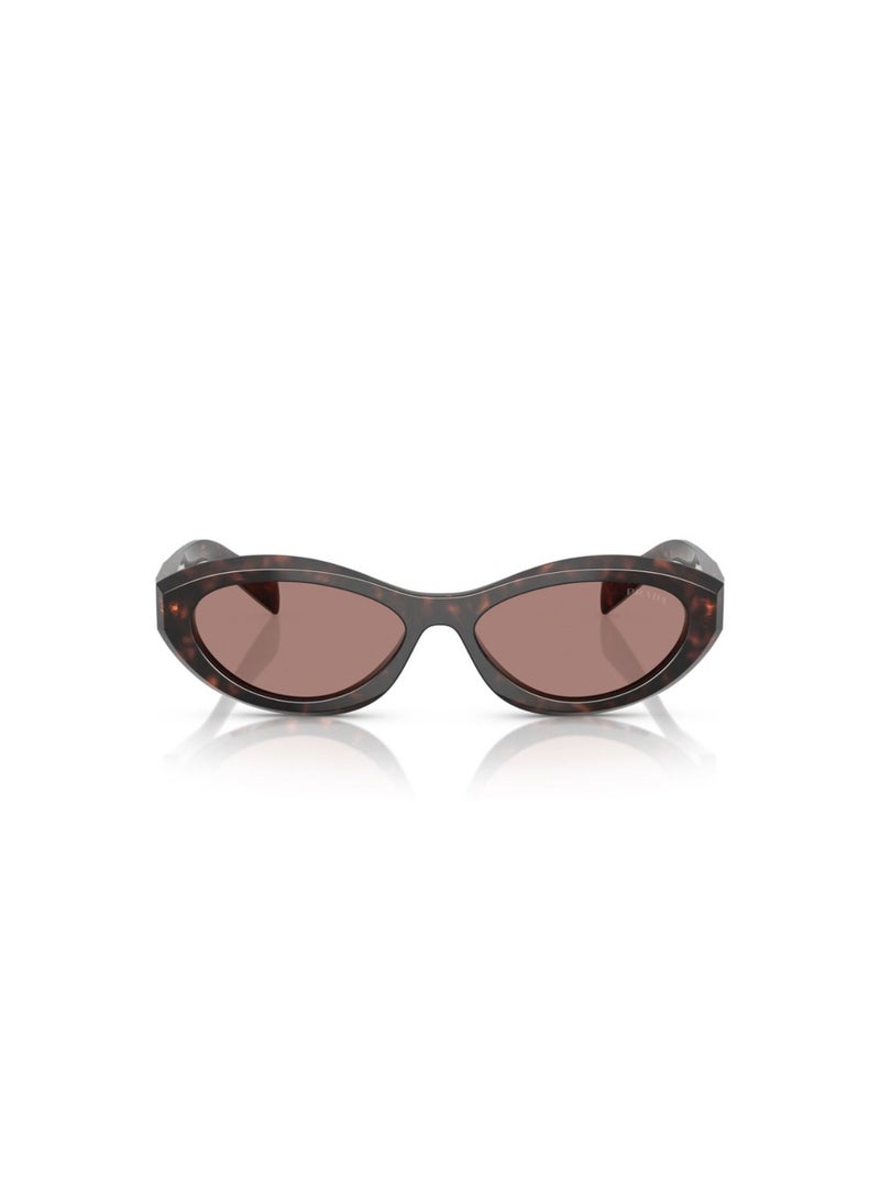 Prada Women Irregular Knight Sunglasses- Pr 26Zs - Lense Size:55Mm - Root Tortoise - Image 2