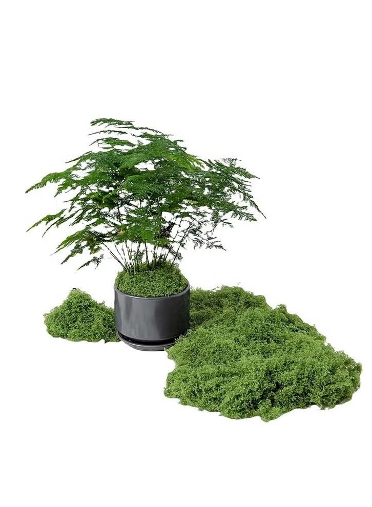 Realfrog 100g Moss Grass Perfectly Simulates Artificial Moss Fake Green Grass for Centerpieces Home Kitchen Garden Decor Preserved Forest Moss - Image 2