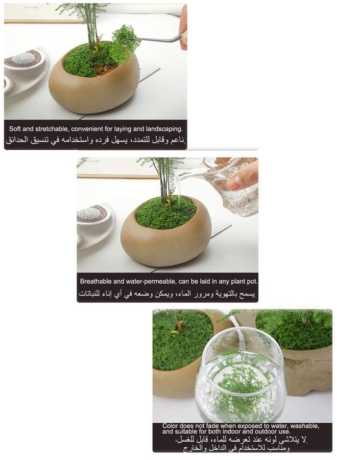 Realfrog 100g Moss Grass Perfectly Simulates Artificial Moss Fake Green Grass for Centerpieces Home Kitchen Garden Decor Preserved Forest Moss - Image 5