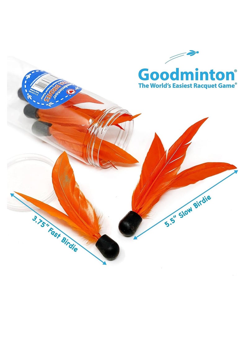 فياهارت لعبة مضرب فياهارت جودمينتون | لعب داخلي وخارجي | بادل | 6 طيور رياضية | للأطفال والأطفال الصغار | لعبة نشاط ممتعة | آمنة للعب | تنسيق اليد والعين | للأطفال من سن 8 فما فوق - Image 3