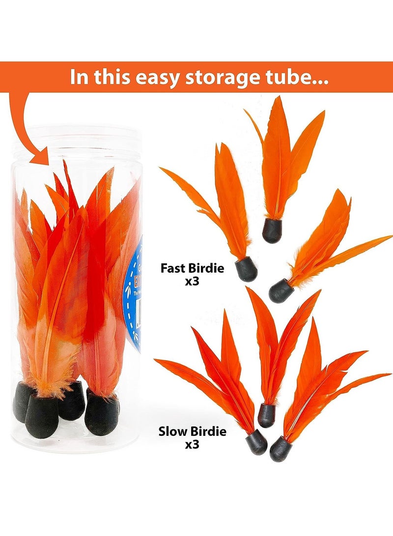 فياهارت لعبة مضرب فياهارت جودمينتون | لعب داخلي وخارجي | بادل | 6 طيور رياضية | للأطفال والأطفال الصغار | لعبة نشاط ممتعة | آمنة للعب | تنسيق اليد والعين | للأطفال من سن 8 فما فوق - Image 2