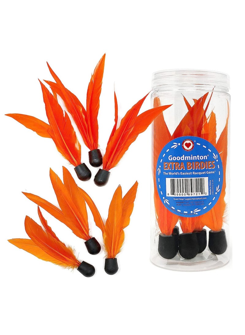 فياهارت لعبة مضرب فياهارت جودمينتون | لعب داخلي وخارجي | بادل | 6 طيور رياضية | للأطفال والأطفال الصغار | لعبة نشاط ممتعة | آمنة للعب | تنسيق اليد والعين | للأطفال من سن 8 فما فوق - Image 1