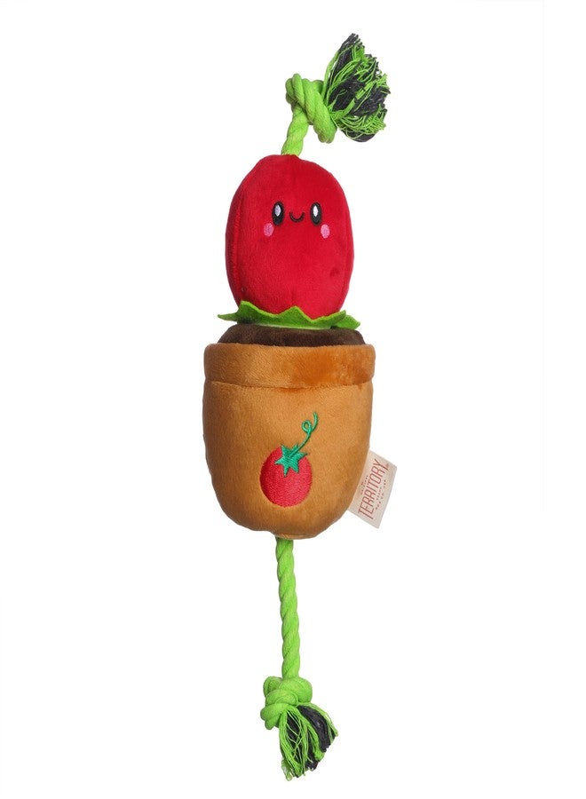 Territory Interactive Play Plush Treat-and-Tug Reward Toy for Dogs, Tomato - Image 1