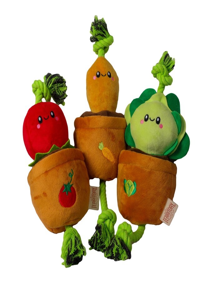 Territory Interactive Play Plush Treat-and-Tug Reward Toy for Dogs, Tomato - Image 5