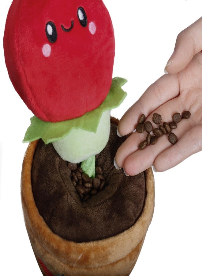Territory Interactive Play Plush Treat-and-Tug Reward Toy for Dogs, Tomato - Image 2