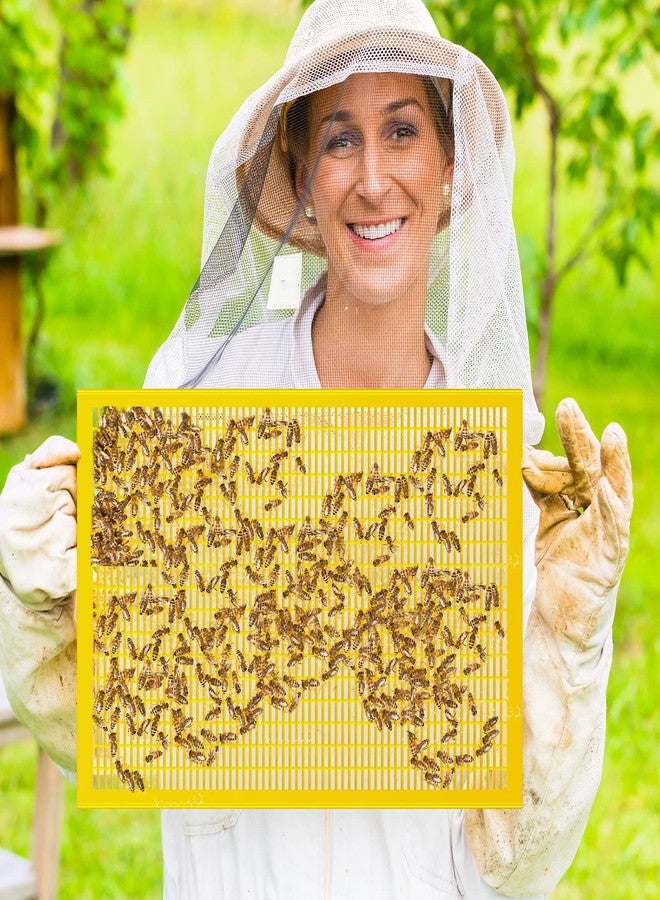 Yinkin 6 PCS Plastic Queen Excluder 10 Frame Queen Bee Excluder Bee Hive for Beekeeping and Separating Queen Bees from Honey - Image 5