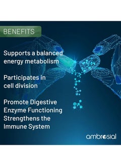 ambrosial Calcium And Vitamin D3 Tablets High Strength Calcium Tablets- 120 Softgels  - Image 5