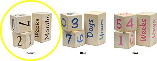Maple Landmark Portrait Prop Age Blocks - Brown - Made in USA - Image 5