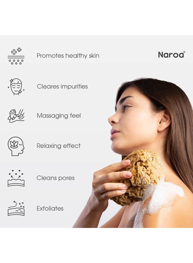 Naroa Massage Natural Shower Sponge | Unbleached Body Scrubber Puff | Bath Sea Loofah for Healthy Skin | Sustainable Plastic Free (Small) - Image 2