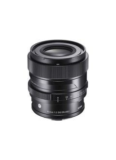 SIGMA Sigma 65mm f/2 DG DN Contemporary Lens for Sony E  - Image 1
