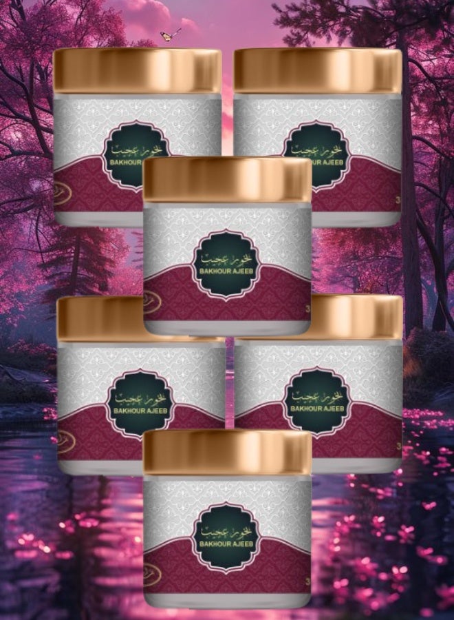 MARAHIB 6 Pieces Bakhour Ajeeb 30g - Image 1