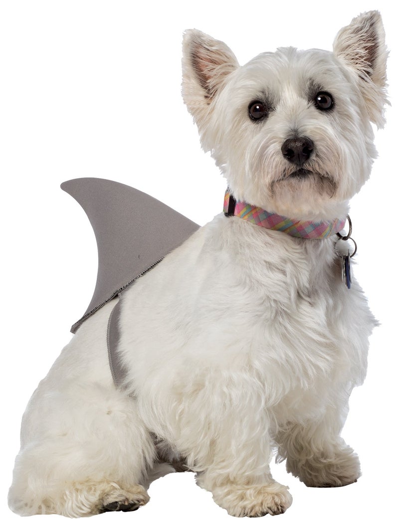 Rasta Imposta Shark Fin Dog Costume, Medium/Large - Image 5