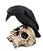 PTC PTC 5 Inch Halloween Black Raven on Skeleton Skull Statue Figurine  - Image 2
