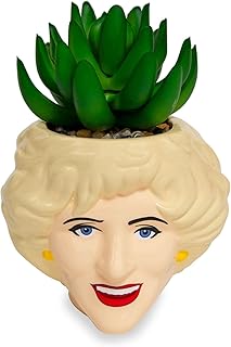 Toynk Toynk The Golden Girls Rose 3-Inch Ceramic Mini Planter with Artificial Succulent  - Image 1