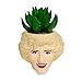 Toynk Toynk The Golden Girls Rose 3-Inch Ceramic Mini Planter with Artificial Succulent  - Image 2