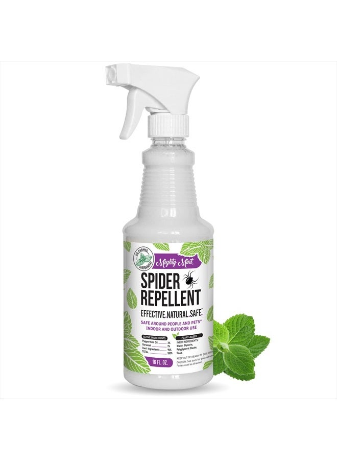 Mighty Mint 16oz Spider Repellent Peppermint Oil - Natural Spray for Spiders and Insects - Killer + Deterrent - Image 1
