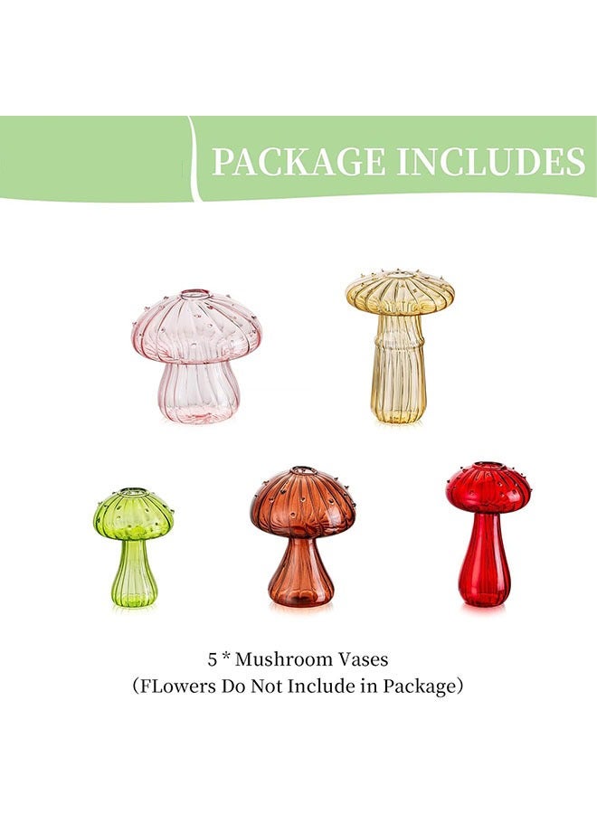 عربست فطر الأواني الزجاجية ، مجموعة من 5 لون النبات محطة تربية ، مصنع حوض السمك مصغرة ، فريدة من نوعها زهرية صغيرة من الزجاج ، جميل حوض الزراعة المائية وعاء الزهور ، ديكور غرفة الإناث هدية - Image 5