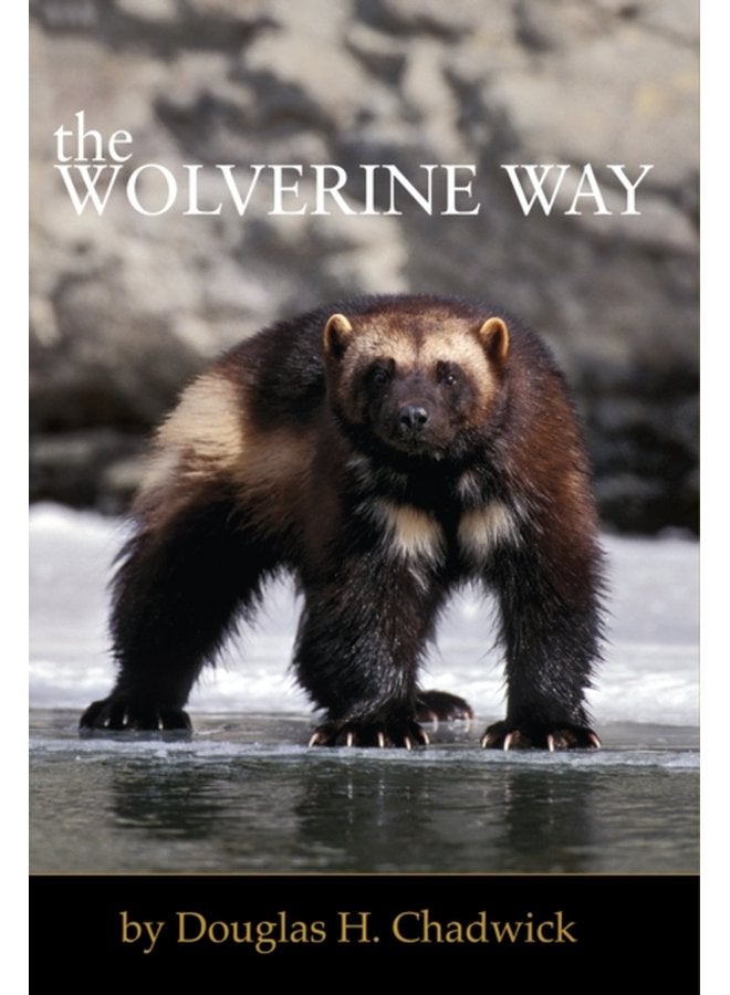 The Wolverine Way - Paperback