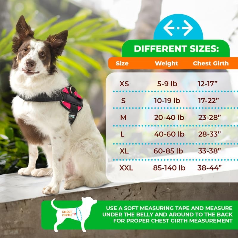 Joyride Harness 2.0 - The Original Side Ring No Pull Dog Harness - No Choke, Escape Proof, Reflective, 3 Leash Clips, Quick Fit Pet Vest - Easy Walks & Training - for Small, Medium & Large Dogs - Image 2
