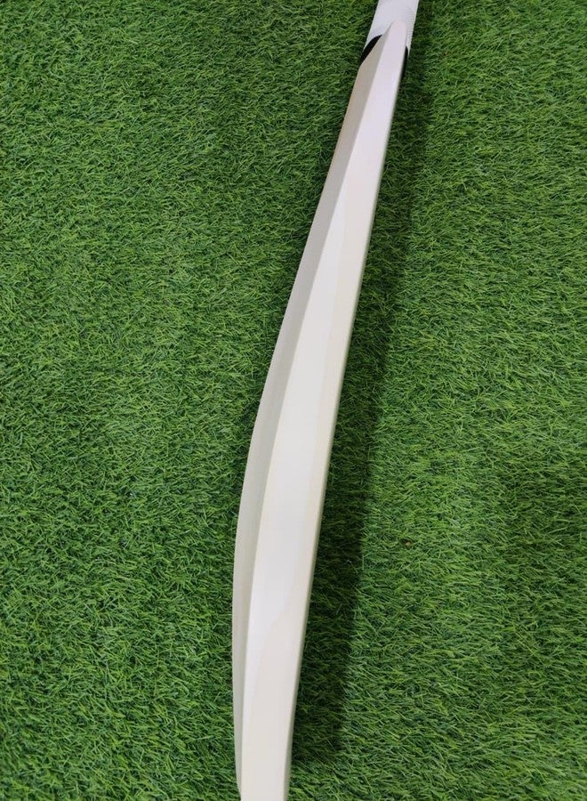 تبلد مضرب كريكيت SAG Timeless Edition من خشب الصفصاف الإنجليزي - حجم كامل | حواف سميكة | مقبض من قصب سنغافورة | جاهز للعب | للكرة الجلدية - Image 4