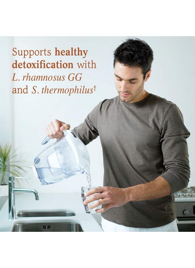 Garden of Life Dr. Formulated Probiotics Platinum Series Liver Health+ 90 Billion Cfu Guaranteed One A Day Probiotic For Healthy Detoxification & Elimination Support Vegan Gluten Free 30 Capsules  - Image 4