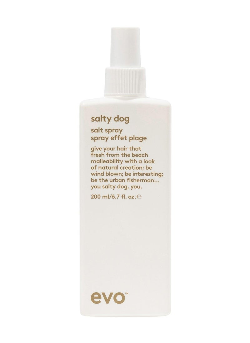 Evo- salty dog salt spray 200ml - pzsku/Z7F11BECD1E156A75FA2FZ/45/_/1702548835/0e9f1a38-7570-4b96-841c-78f8e7d25a57