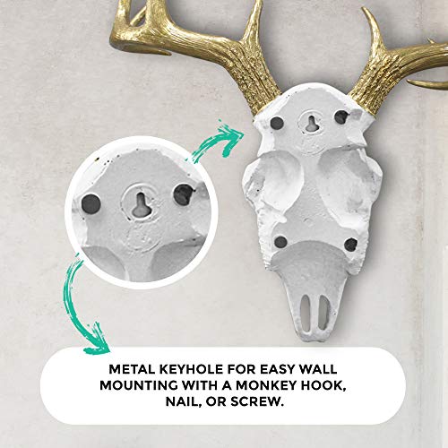 Wallcharmers Large White + Gold Antler Faux Deer Skull Decor - 21 inch Faux Taxidermy Animal Head Wall Decor - Handmade Farmhouse Decor - Image 4