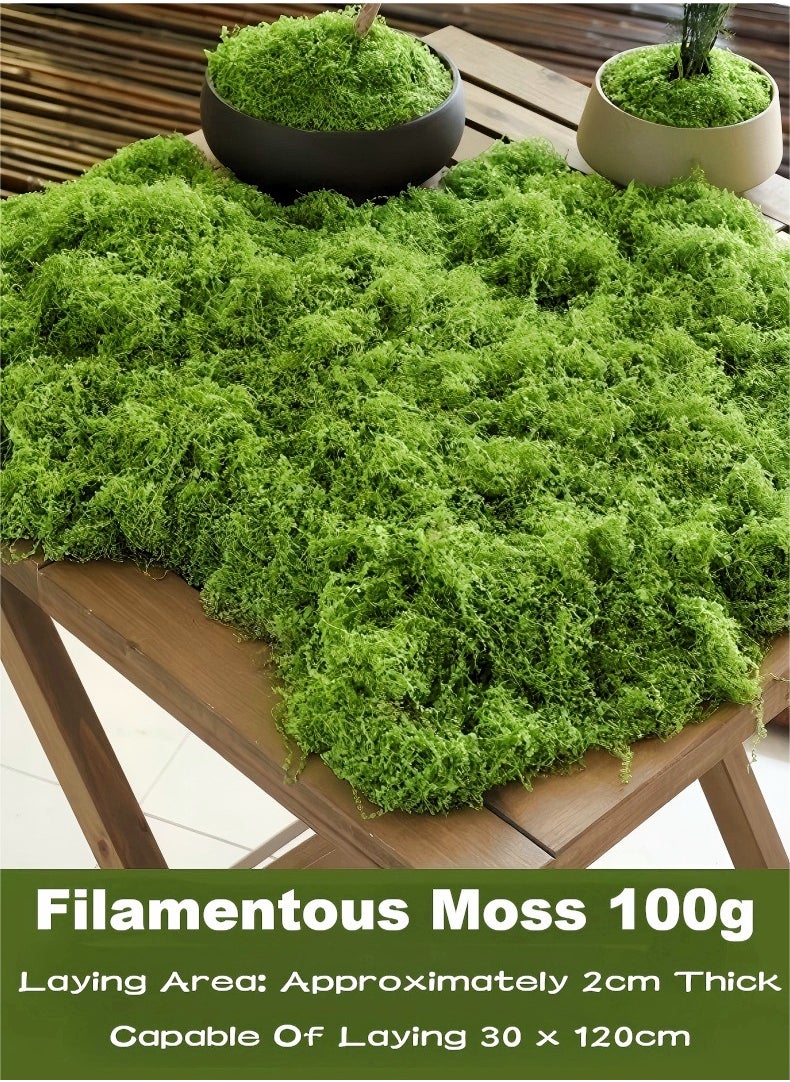 In Air 100g Moss Grass Perfectly Simulates Artificial Moss Fake Green Grass for Centerpieces Home Kitchen Garden Decor Preserved Forest Moss  - Image 1