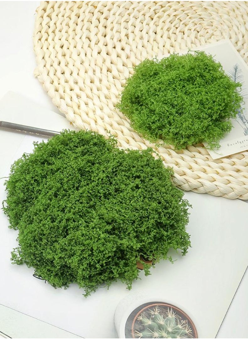 In Air 100g Moss Grass Perfectly Simulates Artificial Moss Fake Green Grass for Centerpieces Home Kitchen Garden Decor Preserved Forest Moss  - Image 2
