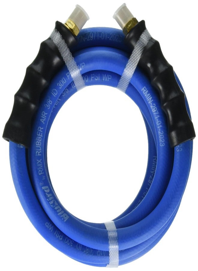 BluBird Rubber Air Hose Assembly 1/2" x 10' - Image 1