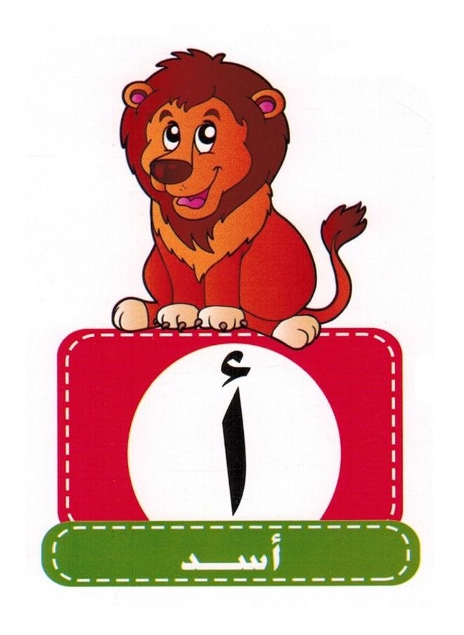 Toys Educational Cards For Arabic Letters 28 Pcs  - Image 3