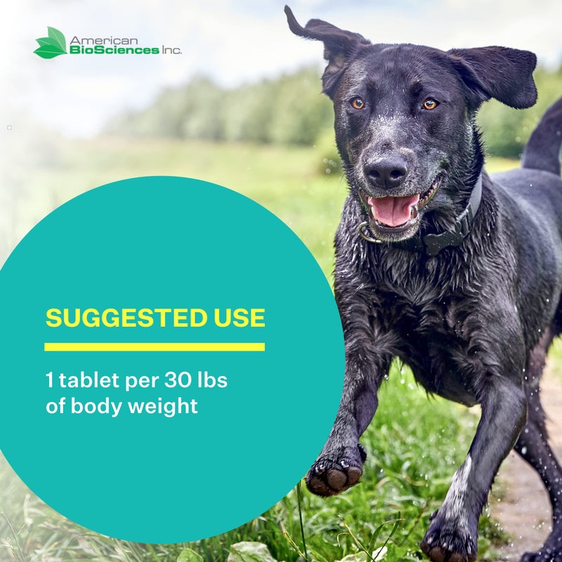 American BioSciences DGP, All-Natural Joint Supplement for Dogs - Joint Support with Turmeric Boswellia Extract - 60 Chewable Pet Tablets per Bottle (60 Count (Pack of 1)) - Image 4