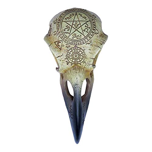 Alchemy Gothic Omega Raven Skull - Image 2