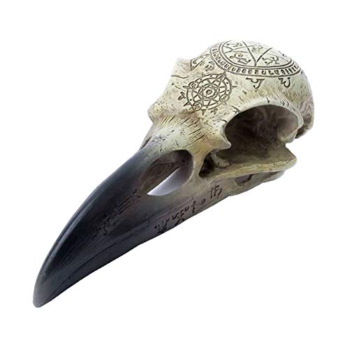 Alchemy Gothic Omega Raven Skull - Image 1