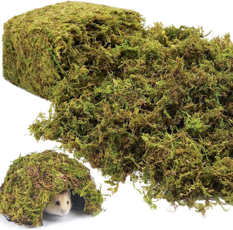 Riare 21OZ Artificial Fake Moss for Fake Plants Indoor- Premium Faux Moss for Potted Plants Indoor, Faux Green Moss for Micro-Landscape Terrariums Decor Fairy Garden Lawn Crafts - Image 1
