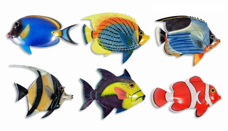 Lx Handpainted LB Tropical Fish Replica Wall Mount Decor Plaque 6 Set of 6